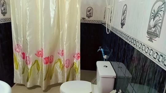 Green Garden Homestay Giritale Chambre photo